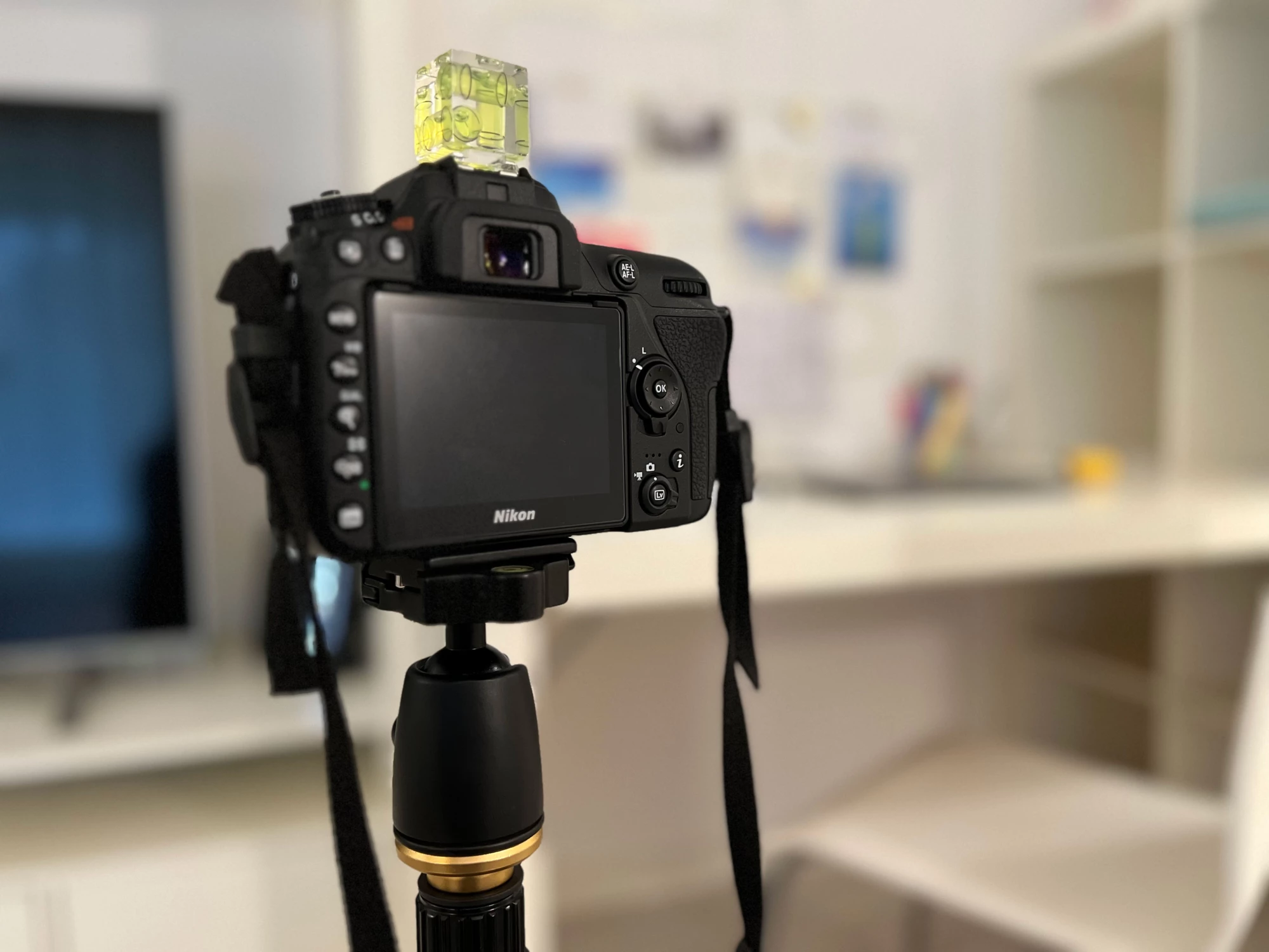 L’importanza di foto professionali per le case in vendita